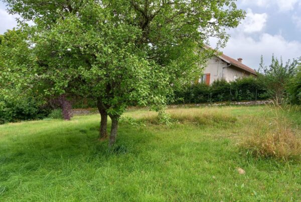 Chemin du bourgeon