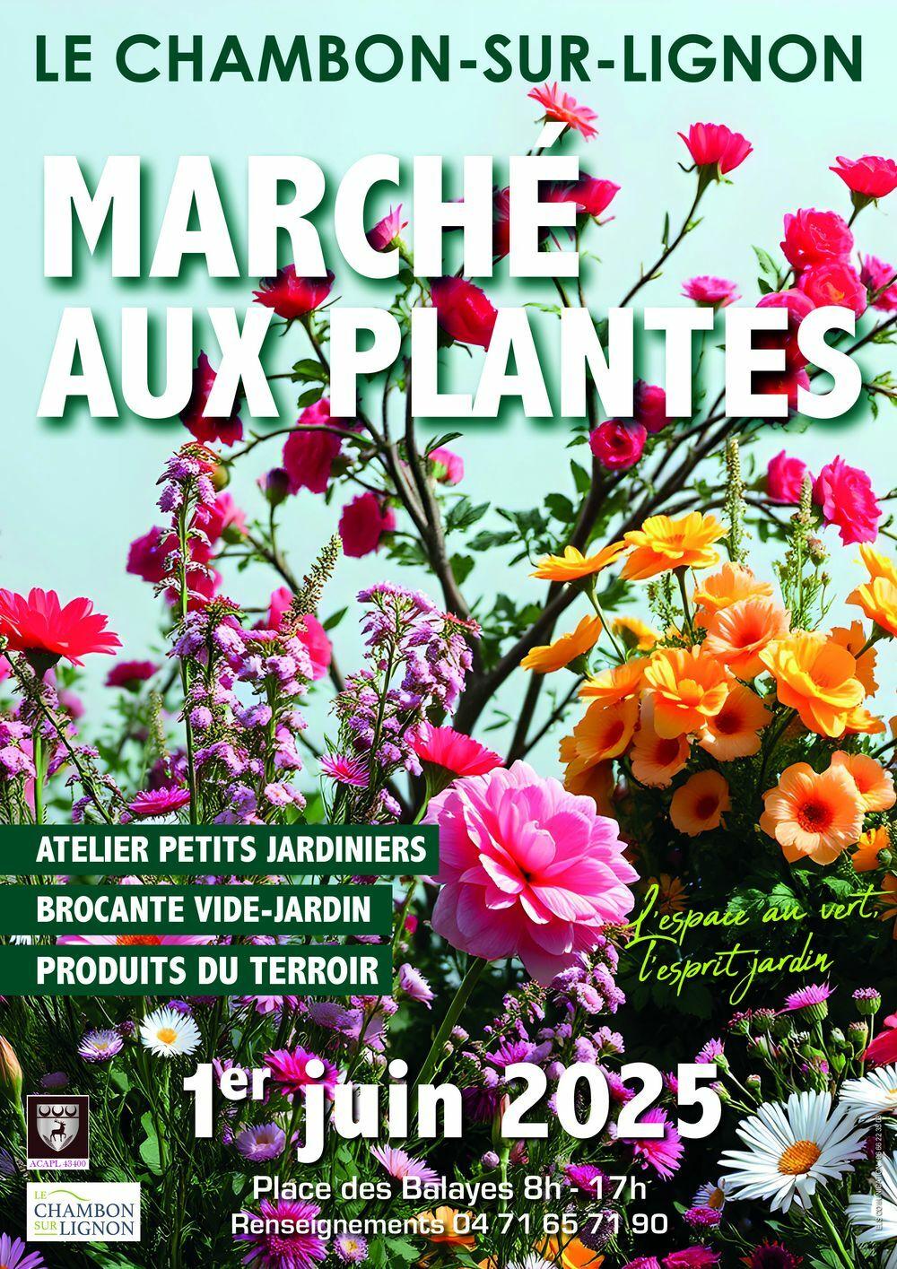 MARCHE AUX PLANTES