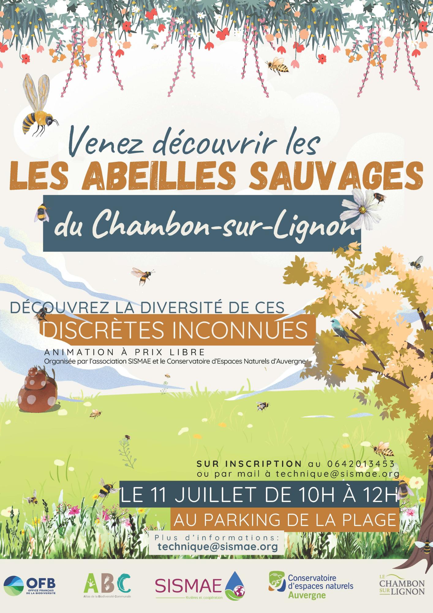 🐝🌼 Les abeilles sauvages : discrètes, mais essentielles !