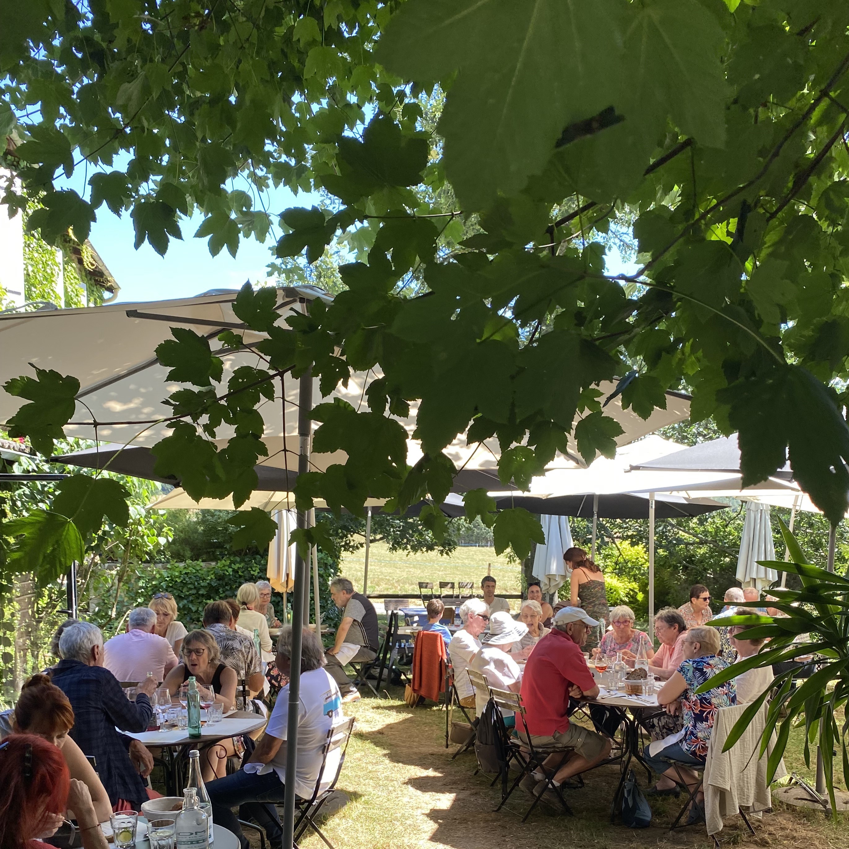 L&rsquo;Arbre vagabond