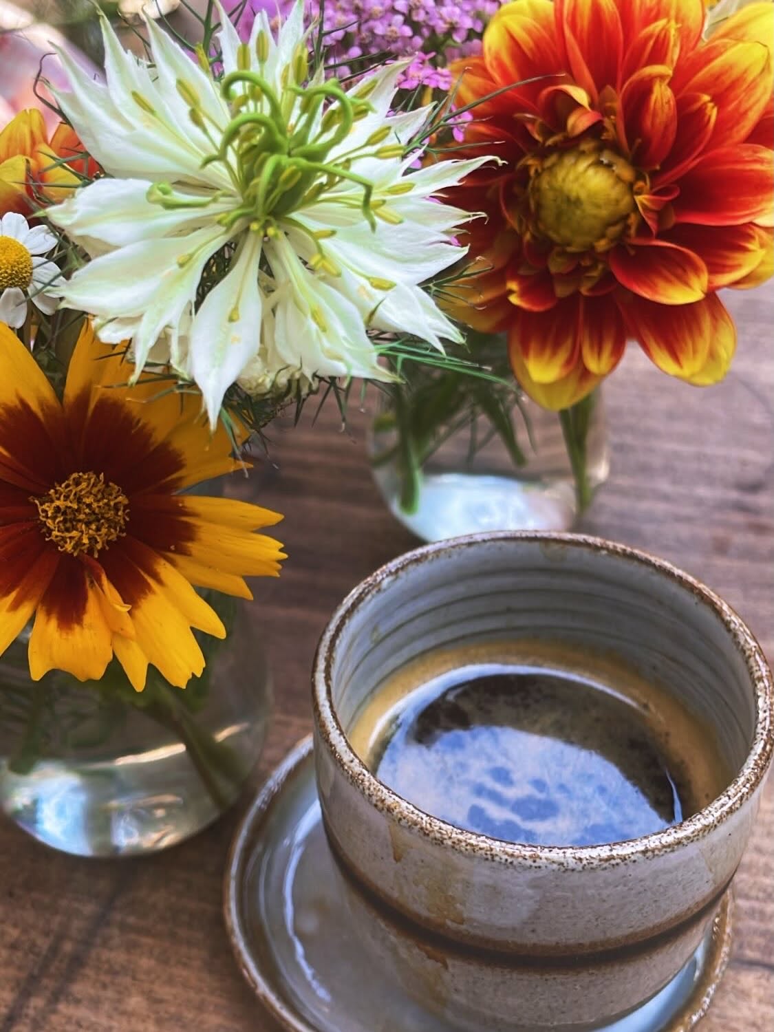 Café Vivaterre